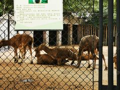 -保定市动物园