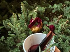 -深圳湾万象城(南山店)