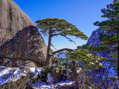 -黄山风景区