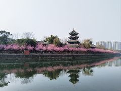-望江楼公园