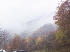 -都江堰石锅鱼