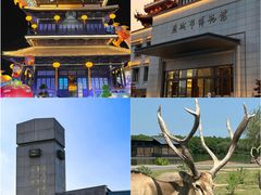 -盐城丹顶鹤湿地生态旅游区