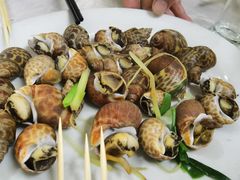 花螺-老三鱼仔店