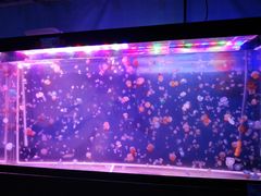 -欧亚达商业广场(红桥店)