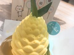 旺财凤梨-狗年春节限定-台灣光芒手作(万安街店)