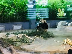 -海南热带野生动植物园