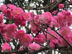 -花溪公园