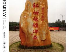 -东寨港红树林旅游区