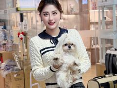 -翊宠yipet猫狗购宠庄园犬舍•猫舍