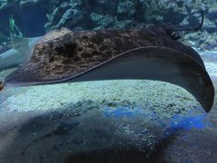 -大连老虎滩海洋公园