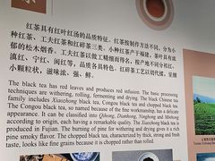 -中国茶叶博物馆(双峰馆区)