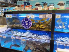 水产区-盒马鲜生(皇庭广场店)