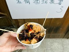 -越香王老汉臭豆腐