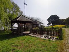 -莲花岛景区