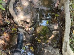 -梧桐山风景名胜区