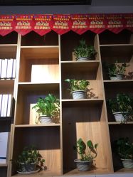 -王府井漂亮宝贝