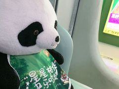 -眉州东坡·熊猫主题餐厅(枫蓝店)