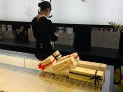 -BLACKSWAN黑天鹅(环球店)