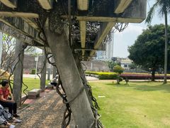 -石炮台公园
