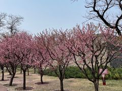 -北京明城墙遗址公园