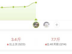 -乐园夜市场(五道口王庄路店)
