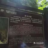 🌈天坑地缝景区[加油]人好多啊，还算风凉