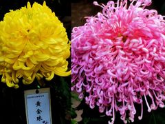 -共青国家森林公园-售票处