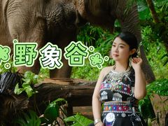 -野象谷景区