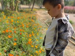 -艾溪湖湿地公园