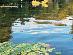 -西湖天地