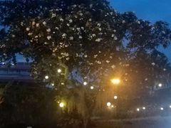 -圣佩德罗堡