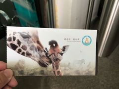 -泉州海丝野生动物世界