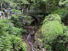 -东天目山风景区
