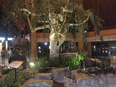 -清迈夜间动物园