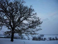 -万达影城(洛阳万达广场IMAX激光店)