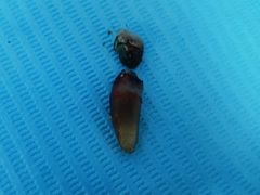 -牙博士口腔品牌连锁(杨浦店)