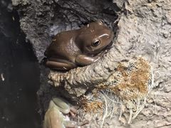 -中国湿地博物馆