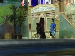 -台州海洋世界