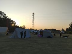 -长洲岛都市农业公园