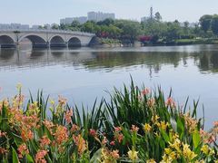 -眉山湿地公园(东坡区)