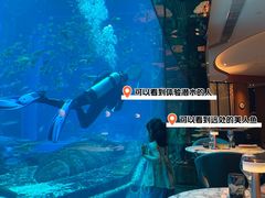 -亚特兰蒂斯•OSSIANO奥西亚诺海底餐厅