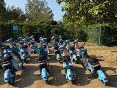 -杨梅坑