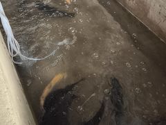 -俺家菜馆(百里峡店)
