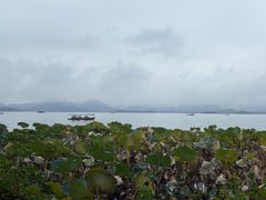 -湖畔居茶楼(湖滨店)