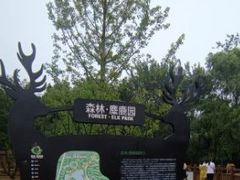 -渡海小渔村.老辈日照菜