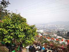 -枇杷园食为鲜火锅(南山店)