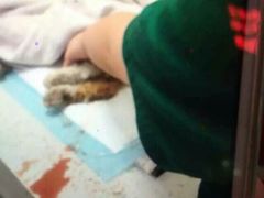 iphone_upload_pic-盛京一禾