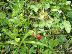 -互助北山国家地质公园漂流