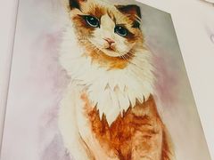 -喵喵咪呀布偶猫咖(春熙路店)