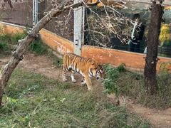 -昆明动物园